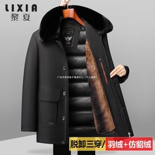 �ְ��ﶬ�b������q�����������L����ë���Ӵ�����ʿ2025�¿��L��