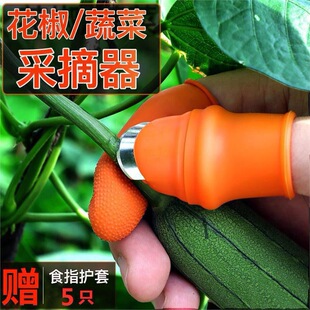 �N���������˶���Ĵָ�����ժ�����Fָ�׶�ָ�ׄ�ë������ָ��