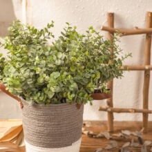 �ӹ����ƽ��X�~�ȼ��������l���滨�Ҿ��b羳��c�S��MW04401