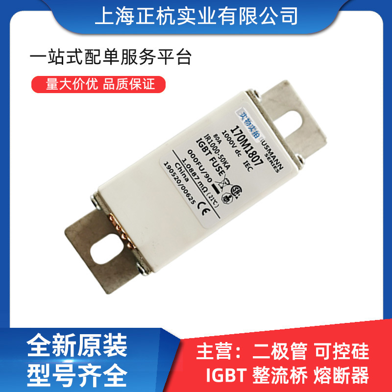 170M1807  170M4113智能跌落式低压快速熔断器 全新原装 量大从优