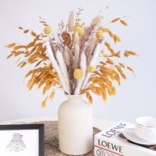 �ɻ��������R�d�羳�S�����lС�M�ϻ��С�JȔ���m��β����Ȼ�ɻ�