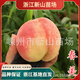 ������ͻ����ϵ���������������Ҙ�޽��紺ѩ�ش����������Ϸ�