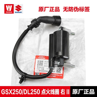 Alovlandırıcı (Vozduşka/İqniter), For Haojue original GSX250 - gsx250dl250-ignition-coil-right-ii