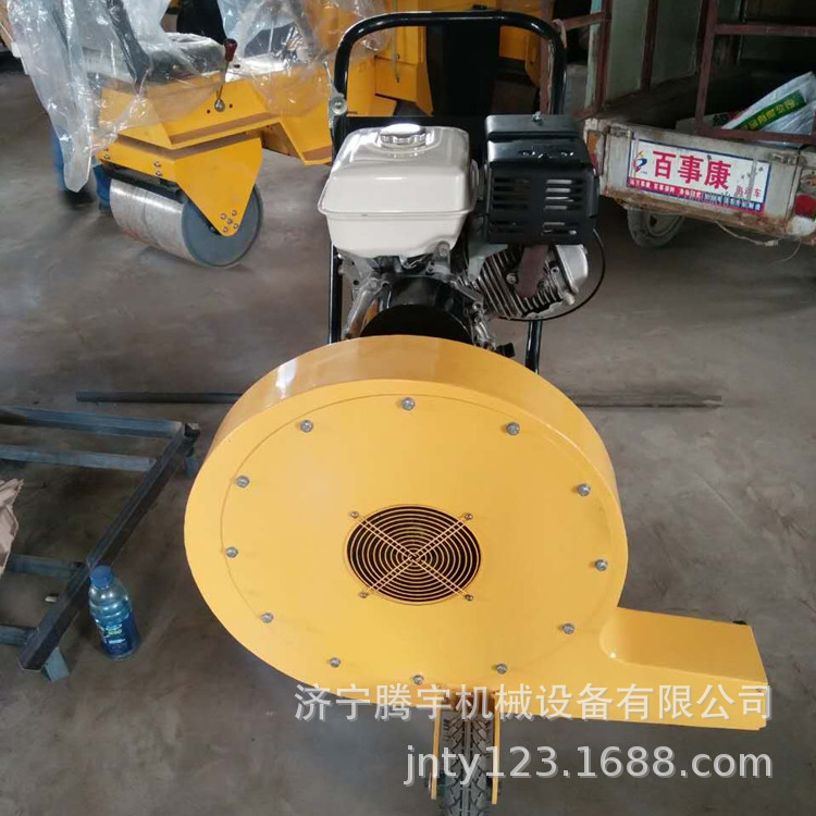 腾宇机械混凝土路面吹风机 大马力吹风机 手推式吹风机