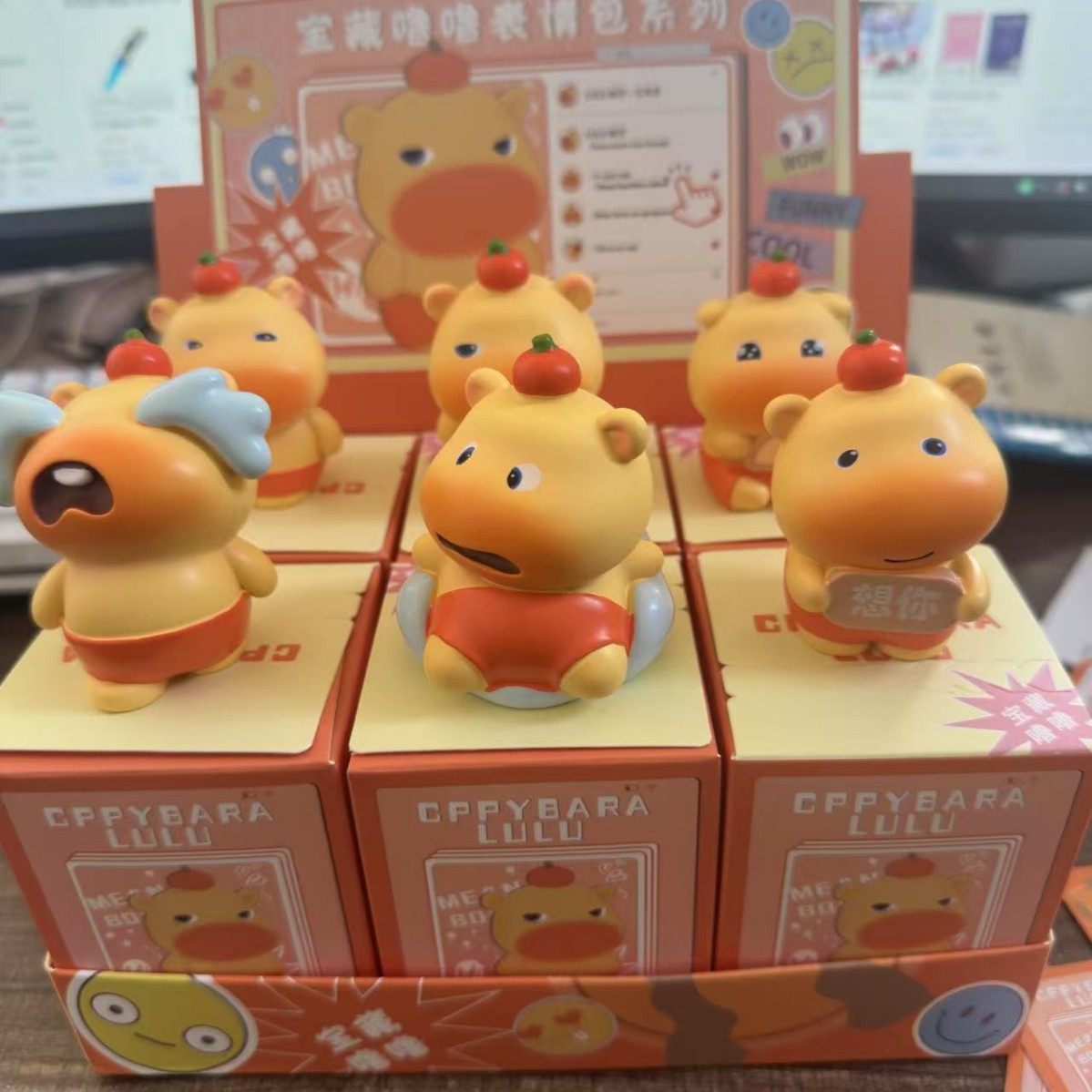 1세대 카피바라 엔드박스 [6개입 1세트]