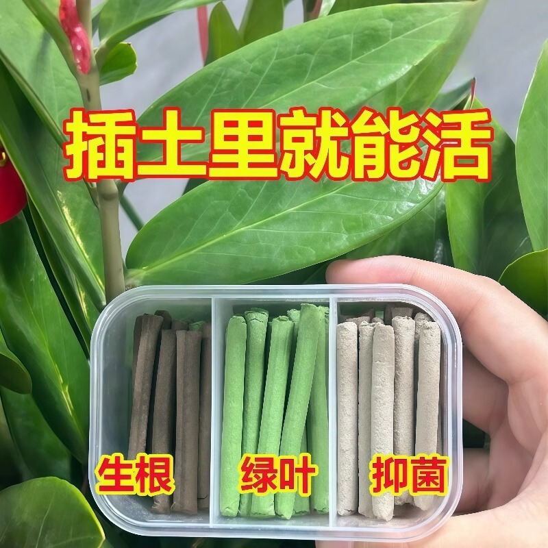 Three-Color Plant Nutrition Stick Slow-Release Stick Potted Flower Succulent Universal Slow-Release Nutrition Stick Flower Fertilizer First Aid Stick