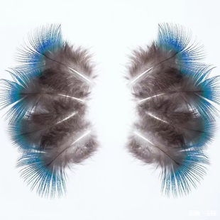 �F؛��Ȼ��ȸ��ë��ȸ�{Ƭ����b�o���ֹ�DIY�c����Ϲ��Sֱ�N