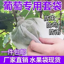 批发果树防虫网袋防鸟纱网袋保护葡萄袋无花果番石榴草莓套袋桃子