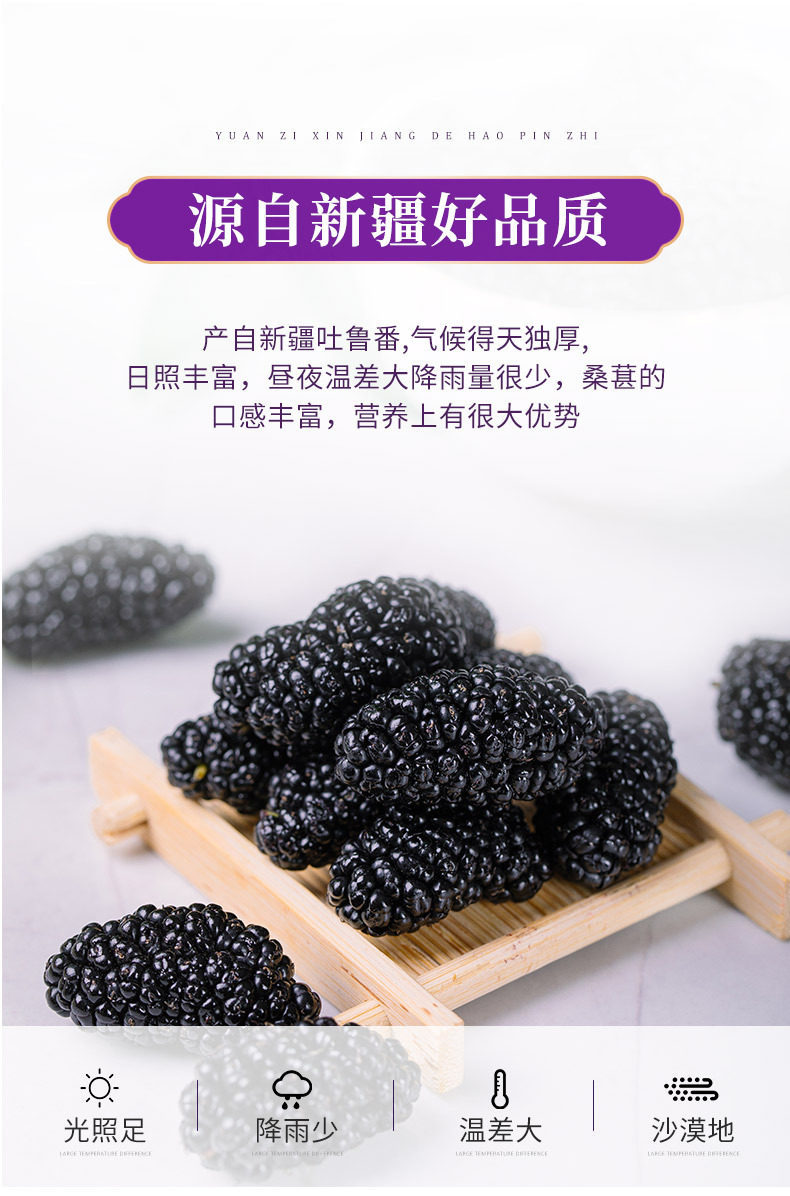Xinjiang Dried Black Mulberry Sang Shen Zi Whole Berries for Tea Wine and Snacking 500g key features