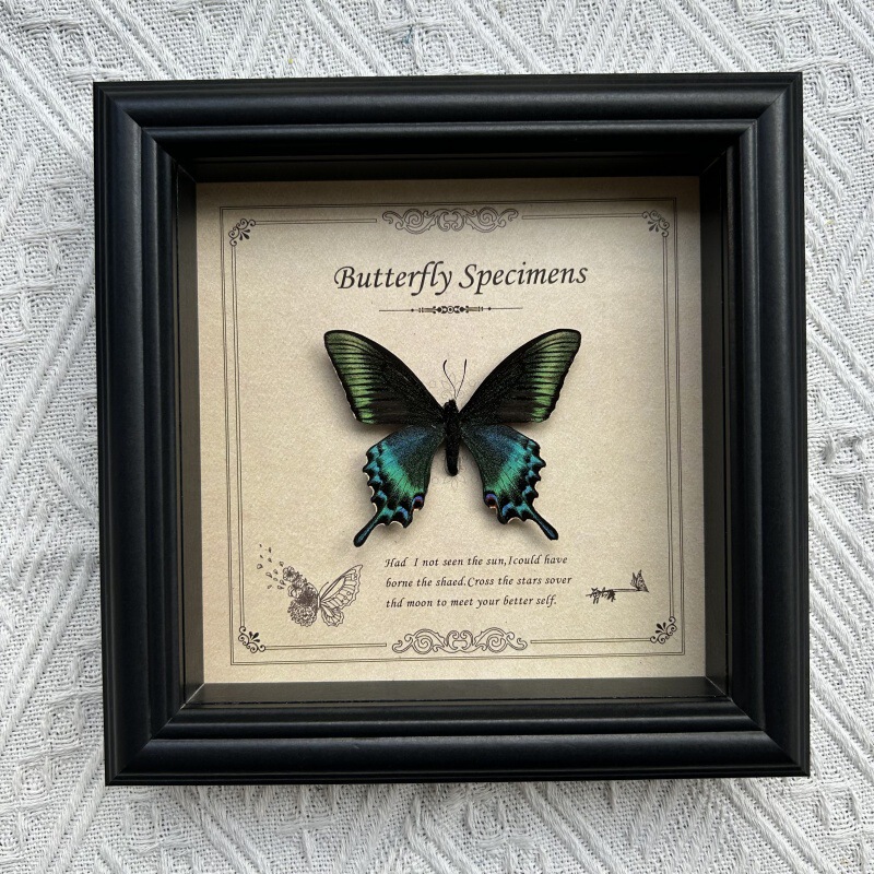Real Butterfly Specimen Photo Frame Classy Wooden Decorative Painting Home Furnishings European Retro Photo Frame Table Birthday Gift