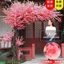 �����һ����҃�������ѻ����cչ�[����c���b���ֲ���S�