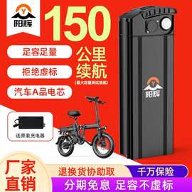 代驾折叠电动车锂电池48v雅迪新日名顶自行车通用可拆卸电瓶