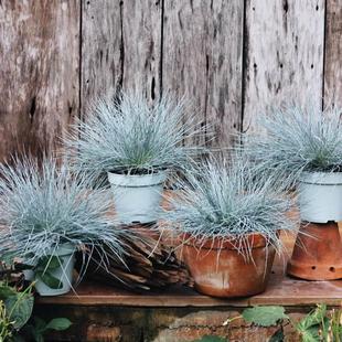 �{��é��������^�p��ͥԺ�e�����@���~�^�~���Rֲ���͟��ͺ����B