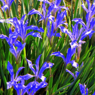 �S�����l���Ѷ༾ �޸����ݷN���R�m�N���R�m���R�A�N�ӵر�����