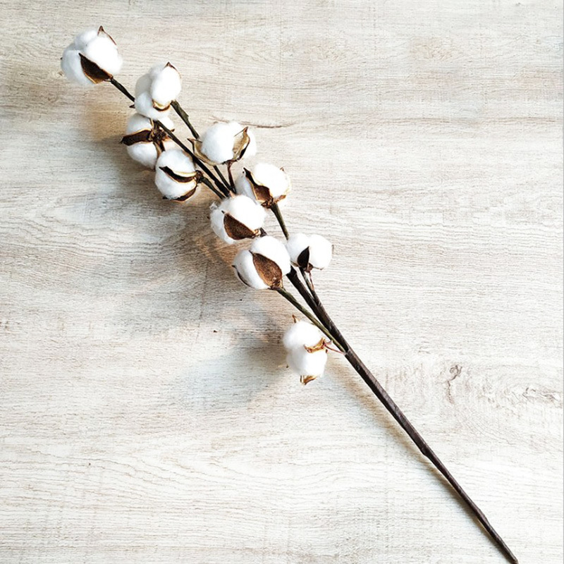 Décoration de mariage - Lot de 10 fleurs artificielles en coton, naturelles et séchées, avec longues branches - Achat transfrontalier_voghion.com