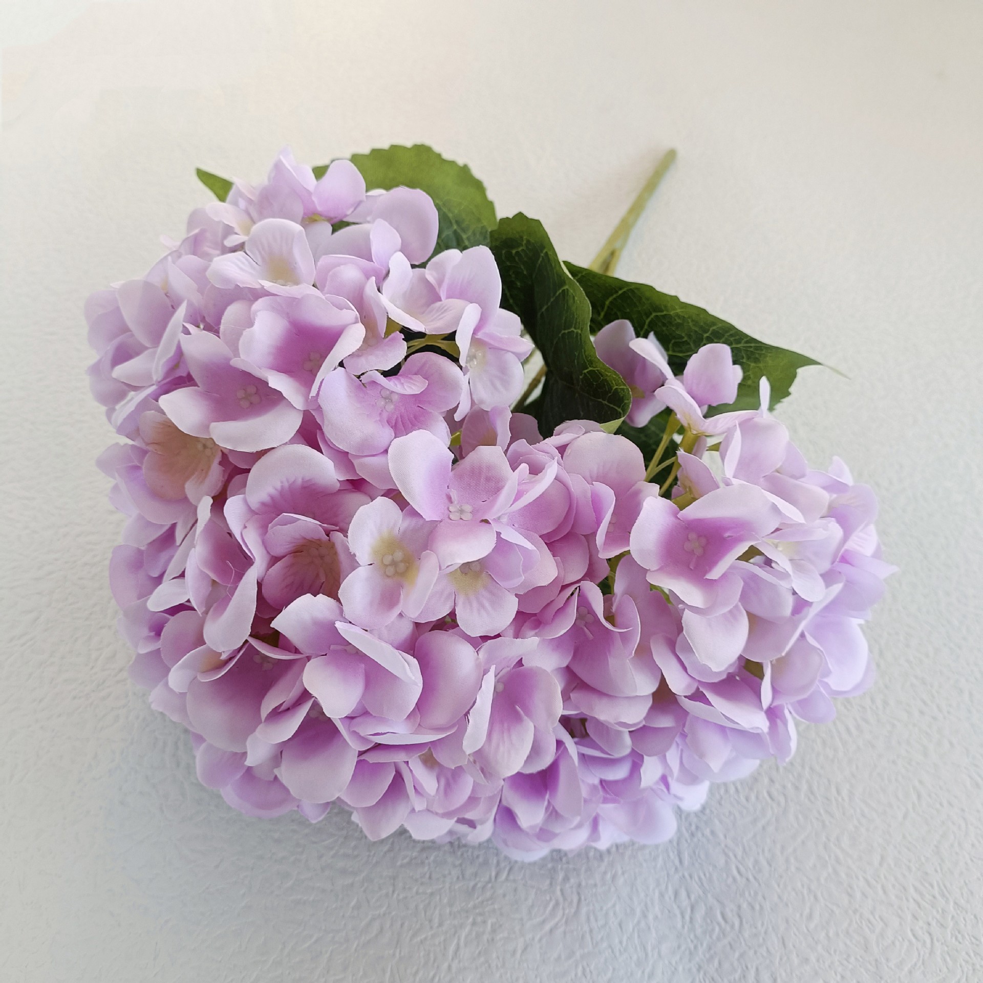 2ed473334066e67b44e8baf70f0b35