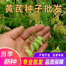 SηNӲSηN500˃ɹFļNֲ