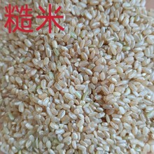 ���׃��x�ּZ��������s�Z�������Z�B�Z����Zԭ�ϲ��׬F؛����