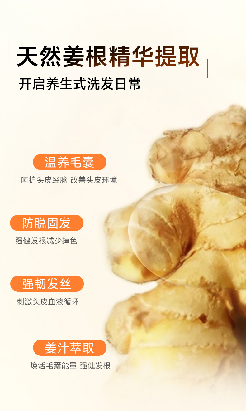 多爱蜜语香氛洗发水 (12).jpg