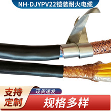 NH-DJYPV22�z�b�ͻ�Ӌ��C��|�~о�z�b��ȼӋ��C��|�^����|