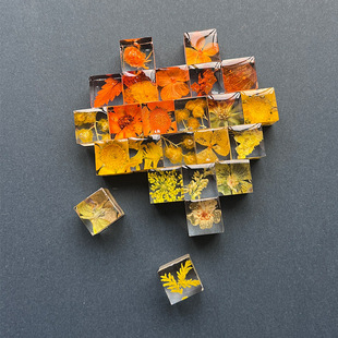 С�t��ͬ���ֹ����zֲ�﷽�K��Ʒ���w�˱��������[�������ѶY��