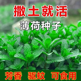 栽培基质;种子;其他园林资材