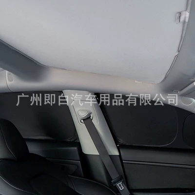 Car curtains and Model Y Privacy Curtains