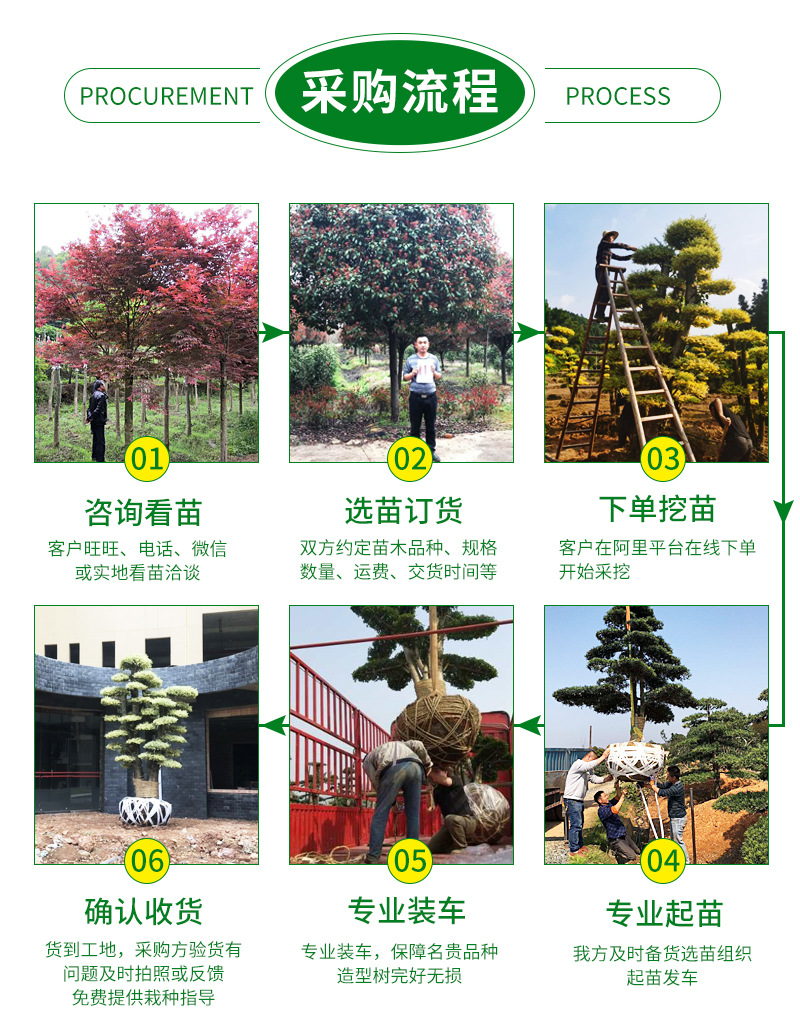 ��Ҷʯ�����-����_13