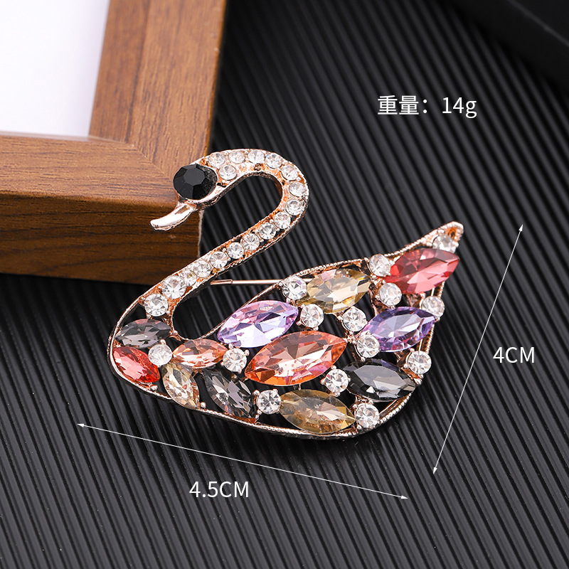249-5 สีสันสดใส