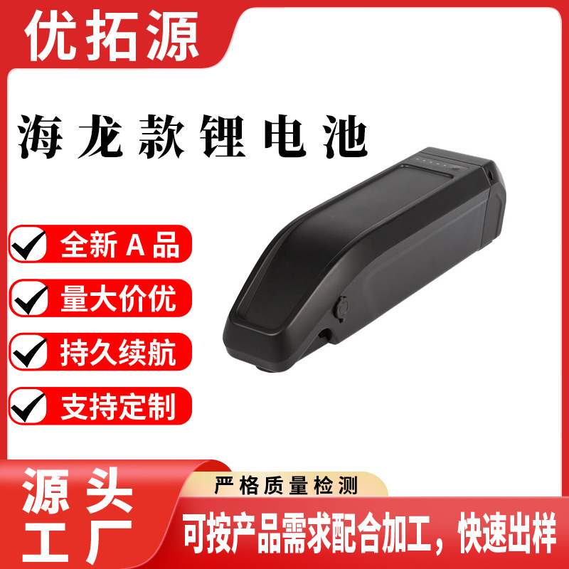 外贸批发48V海龙Plus款E-bike电动车36V15.6ah三元动力锂电池