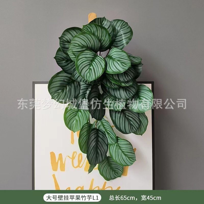 大号苹果竹芋壁挂