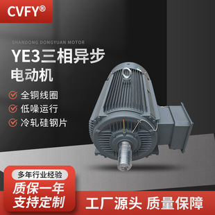 ���ஐ��늄әC YE3-355M1/M2-8�O늙C 132/160KW 380V���I�R�_