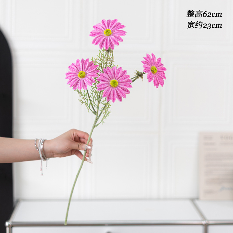 보라색 붉은 느낌의 여름 국화 단일 가지