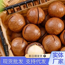 夏威夷果大颗粒坚果孕妇健康休闲零食炒货酥脆奶香夏威夷果