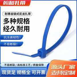 耐寒低温尼龙塑料扎带自锁式国标扎带固定捆绑绳带电线扎线束线带