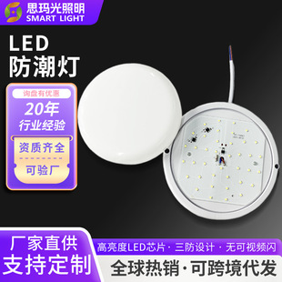 Led Moisture-Proof Lamp Ultra-Thin Ceiling Lamp Waterproof Bathroom Toilet Moisture-Proof Lamp Oval Basement Lighting Integrated Lamp