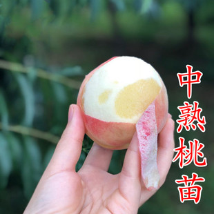 �Ҙ���ˮ���������ڷ�o�a�ɽˮ��������Ҙ�޽ӵ��Ԯ���Y��