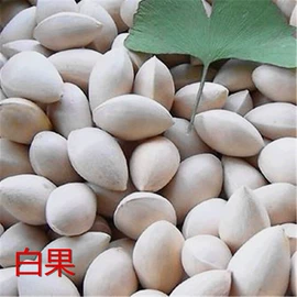 其他药食同源;其他滋补;藏红花