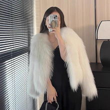 仿狐狸毛短款皮草外套女2025秋冬季新款年轻款时尚百搭环保毛大衣