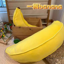 �㽶�����ɐ�ë�q�����ż�L�l���^�������ձ����@�F�A����