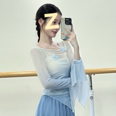 古典舞渐变身韵蝴蝶喇叭袖纱衣中国舞民族舞蹈演出服练功服上衣女