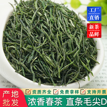 茶厂新茶直条毛尖茶云雾茶明前毛尖绿茶湘西茶叶批发浓香型OEM