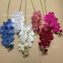 ��Ʒ���滨3D��ӡ�zƬ9�^�����m��c�b͏d���ԾƵ�Ҿ��b�