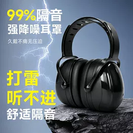 防护耳罩;防护耳塞;其他眼部防护