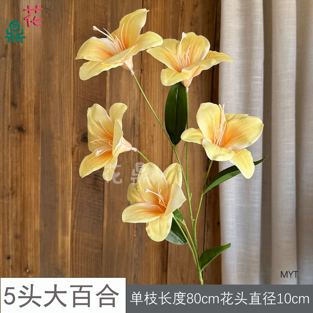 5 hoa huệ lớn MYT màu vàng