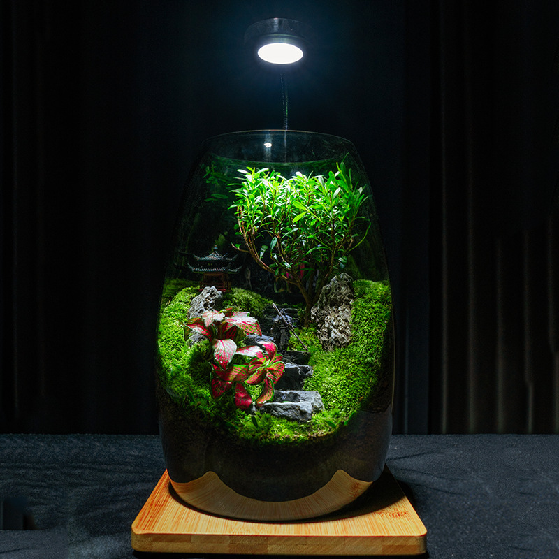 [the Road to Success] Fun Ecological Desktop Creative Potted Rockery Ornaments Moss Office Landscaping Green Plant Pots