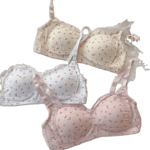Factory Direct Sale - Wholesale Export Undergarments Made in China - Teenage Girl Bra for Students - Fragmented