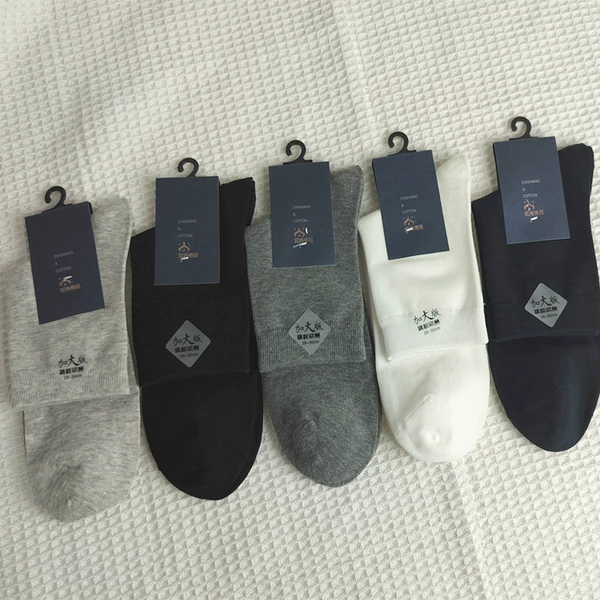 Four seasons (mixed colors)