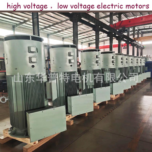 ����׃�l��ʽ늙CYVP3-400-10/160kw -�m���׃�l��������