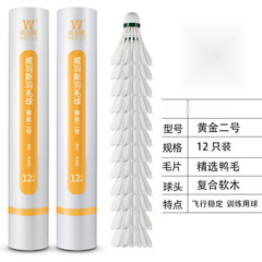 稳定系列训练用球室外娱乐威羽斯室内耐打羽毛球只装批发到家